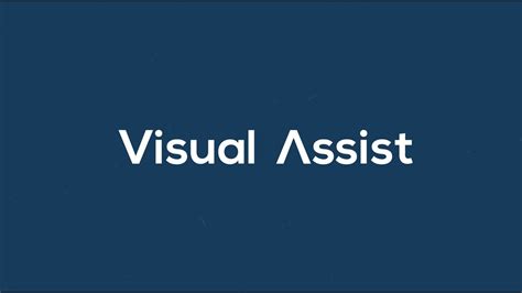 visual assist 크랙